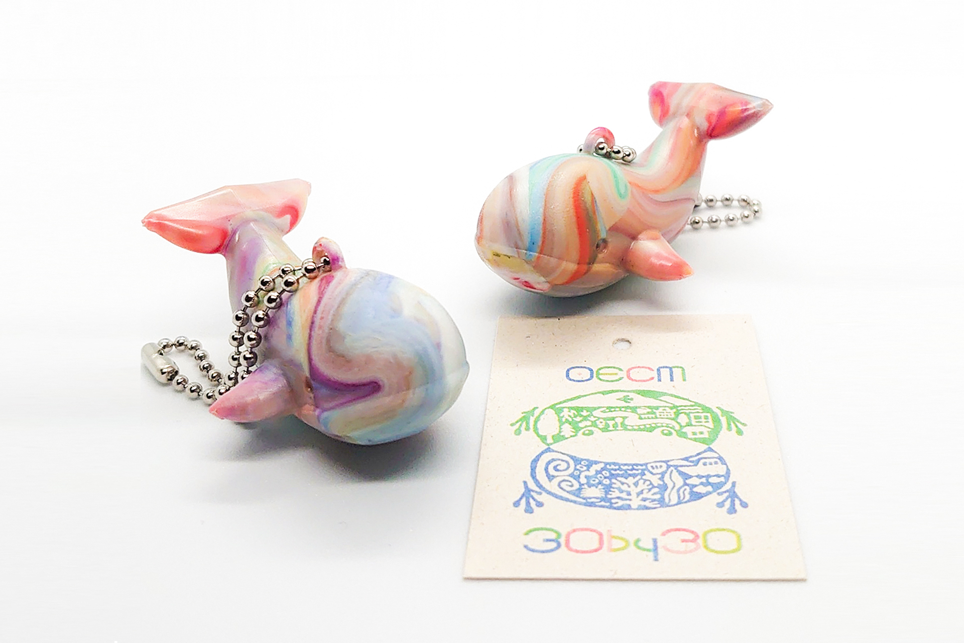 生物多様性キーホルダー